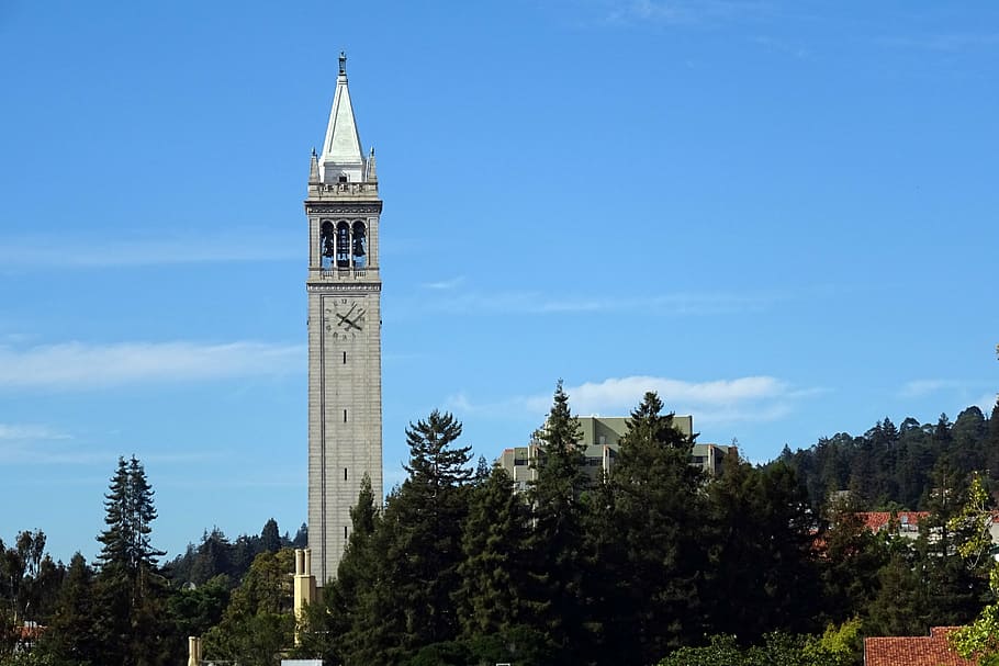 campanile, sather tower, university, building, campus, california, cal, berkeley, architecture, education