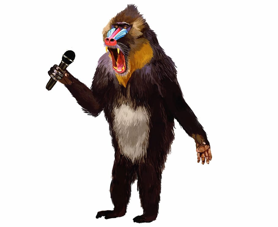 baboon, microphone, monologue, studio shot, white background, one animal, indoors, cut out, mammal, vertebrate