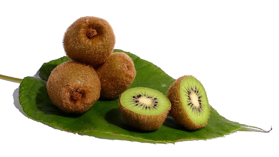 Kiwi, fruta, saludable, vitaminas, verde, comida, naturaleza muerta, fondo blanco, kiwi - fruta, corte