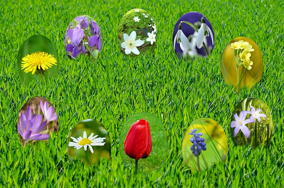 easter, eggs, spring, sun, grass, green, sky, blue, light, primrose