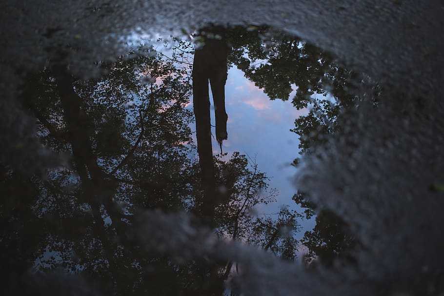 sky, cloud, dark, tree, plant, water, reflection, street, one person, nature