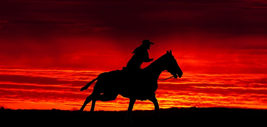 sunset, jumper, america of the west, horses, nature sunset, light, sky, animal wildlife, silhouette, mammal