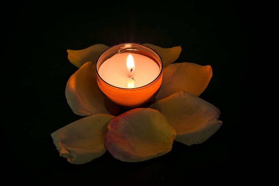 orange votive candle, orange, votive candle, candle, rose, tealight, quiet, contemplative, rest, prayer