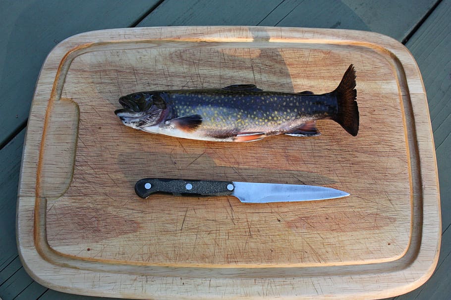 Rainbow Trout, Fishing, Catch, trout, food, fresh, filet, clean, scale, cuisine