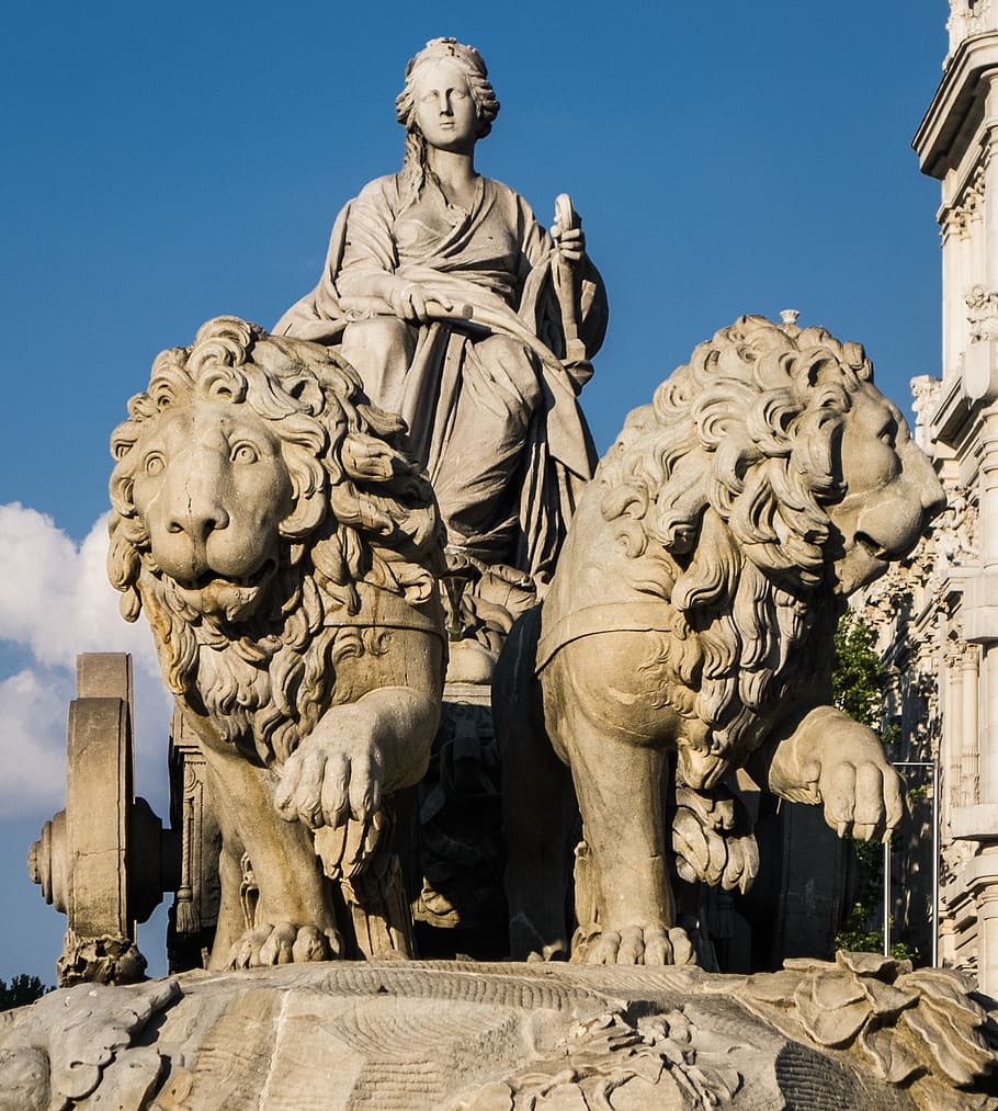 man, riding, chariot, pulled, two, lions statue, madrid, lions, stone, goddess
