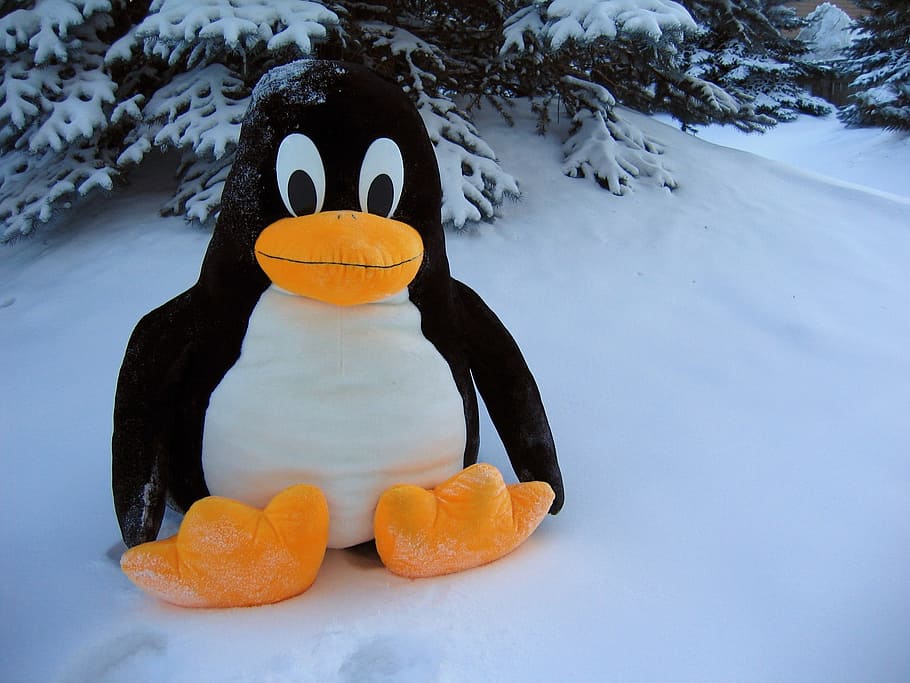 Linux, Penguin, Salju, Mainan, Burung, lucu, fantasi, lemak, kesenangan, dingin