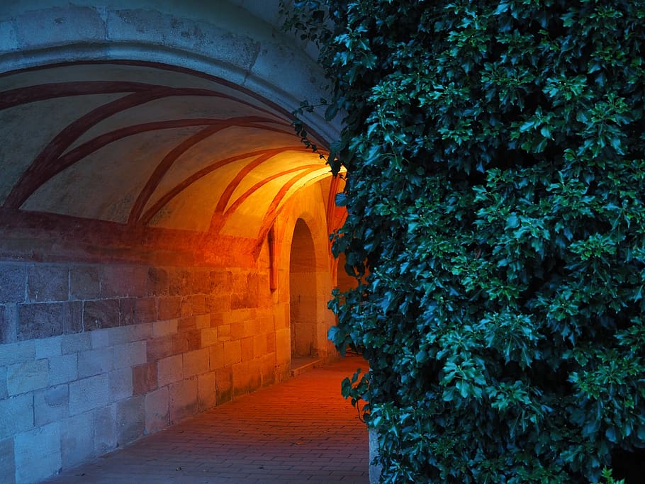 주황색, 램프, 조명을받은, 베이지 색, 콘크리트, 터널, 회랑, Lorch의 수도원, 수도원, Lorch