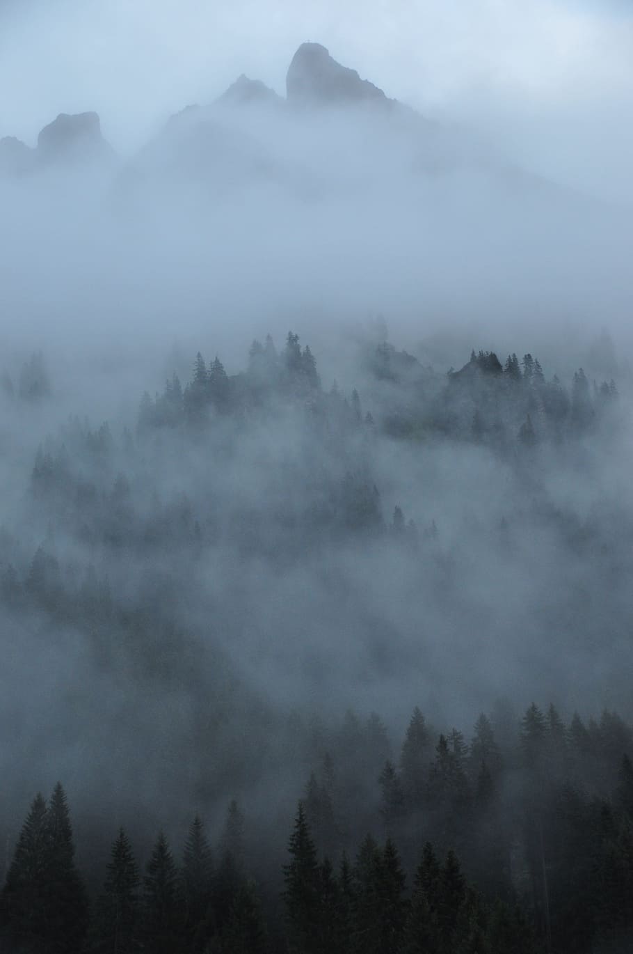 niebla, nubes, montañas, bosque, naturaleza, paisaje, místico, misterioso, atmosférico, alpino
