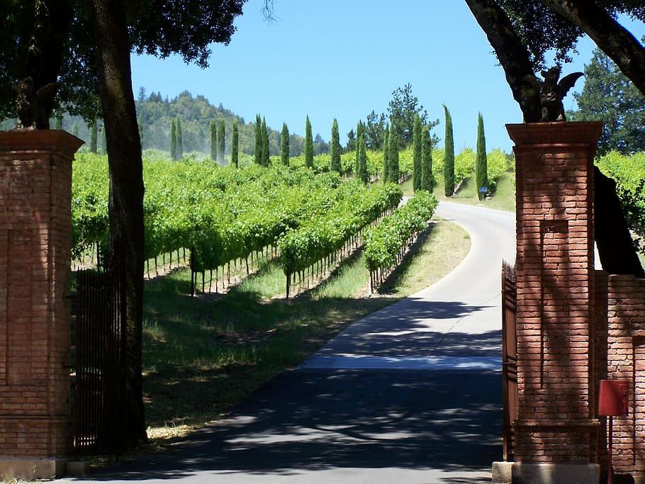 brown brick gate, winery, napa valley, california, wine country, winegrowing, vineyard, america wine, american vineyard, countryside