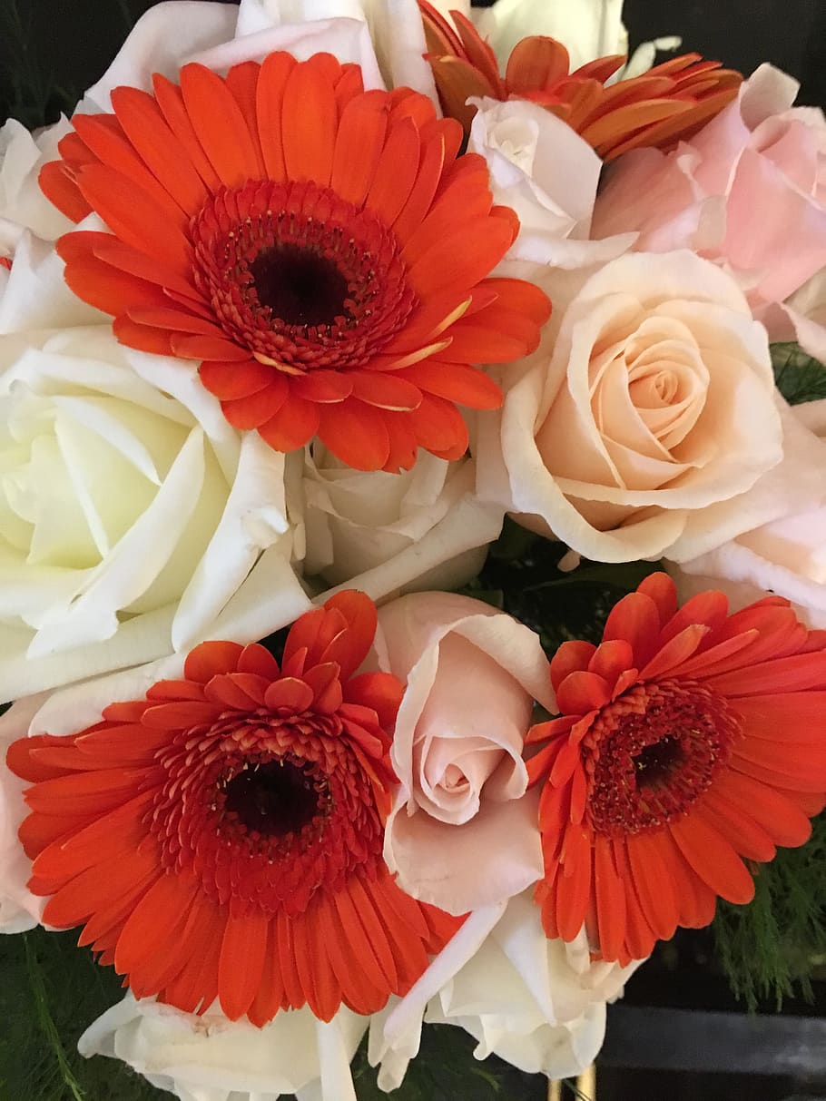 bouquet, flowers, decor, nature, florist, colors, orange, beige, white, pink