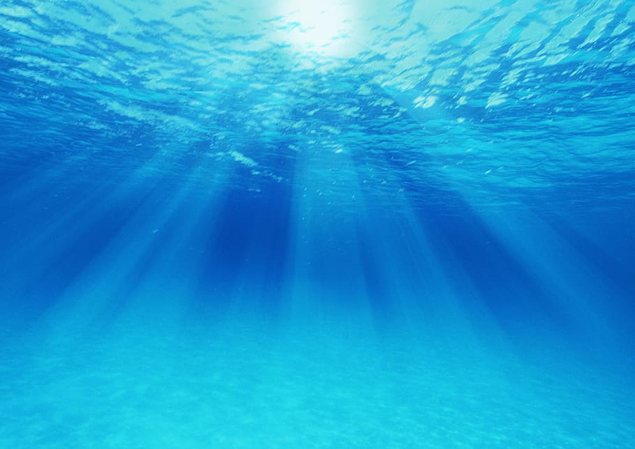 laut, biru, air, bawah air, alam, tidak ada orang, latar belakang, sinar matahari, hari, keindahan di alam