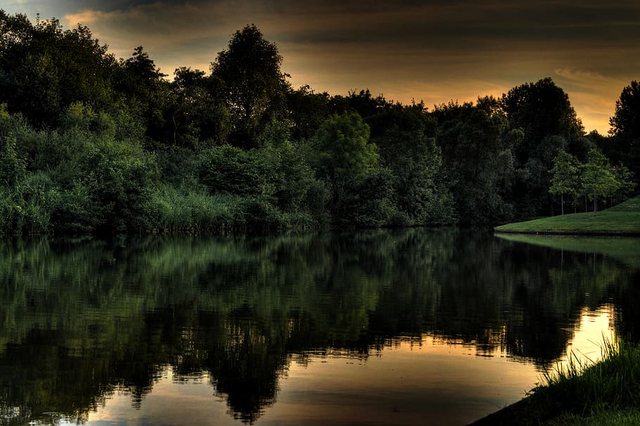 forest, shore, lake, pond, quiet, tranquil, reflection, evening, nightfall, twilight