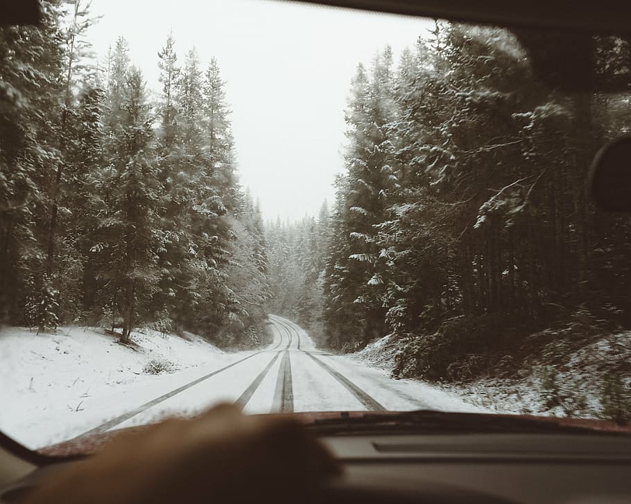 jalan, tertutup, salju, dikelilingi, pohon, orang, naik, mobil, siang hari, musim dingin