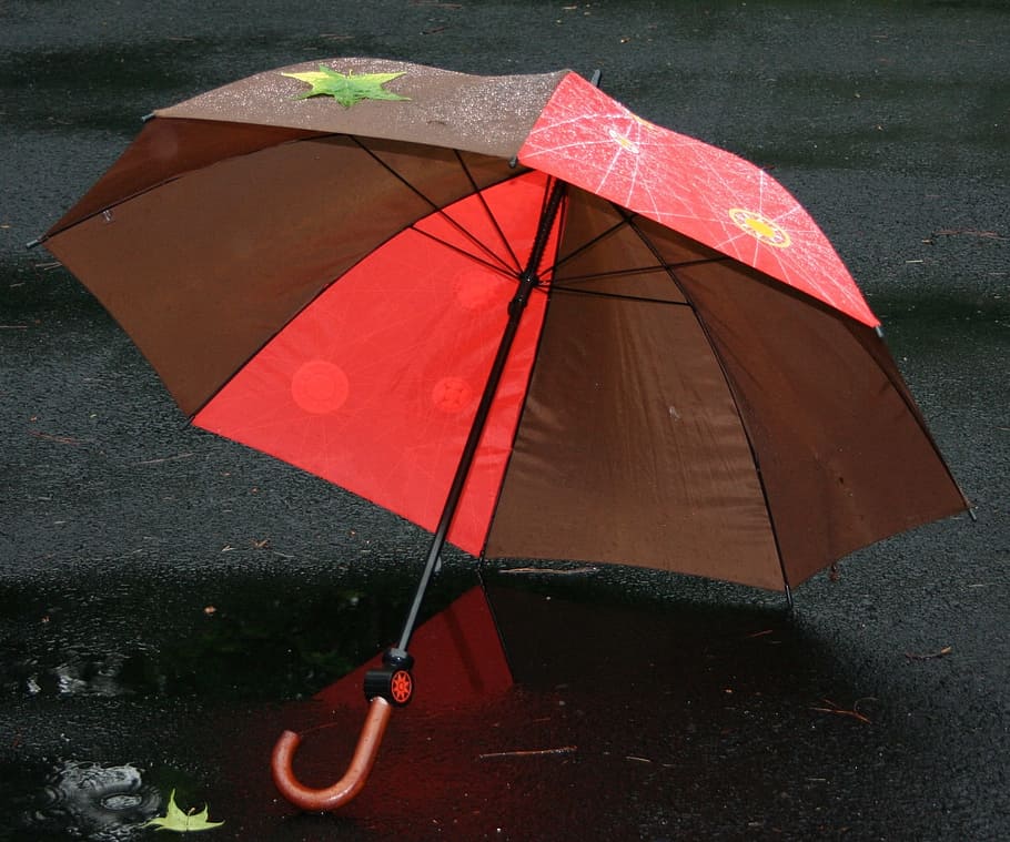 rojo, marrón, negro, piso, Paraguas, Protección, Lluvioso, lluvia, clima, impermeable