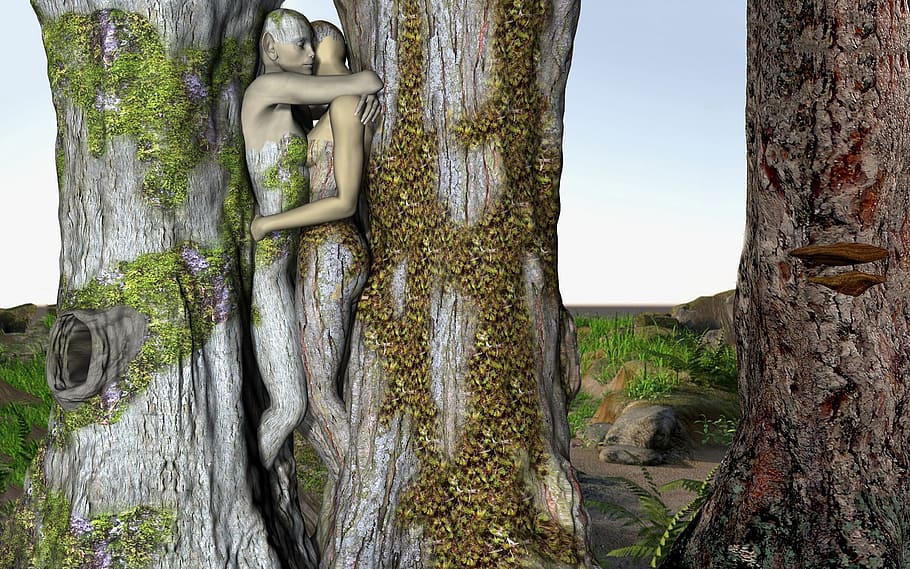 wooden couple artwork, fantasy, forest, fairytale, romantic, fantasy picture, photo montage, magic, mysterious, trunk