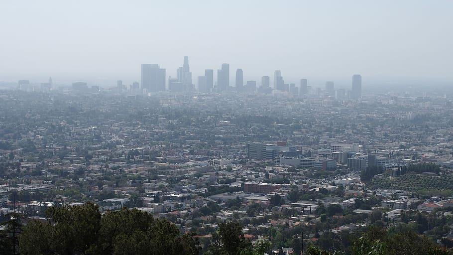 Los Angeles, Angeles, Cidade, Paisagem urbana, Califórnia, névoa, arranha-céu, arquitetura, exterior do edifício, ninguém