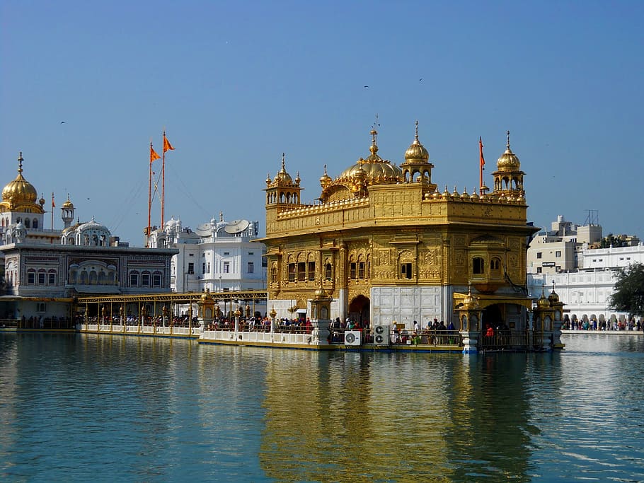 Oro, Templo, Amritsar, Punjab, Dios, dorado, mar, fondo, vista lateral, ciudad