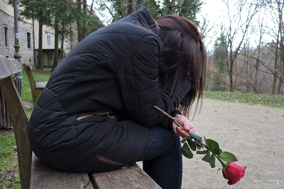 woman, sitting, bench chair, holding, red, rose, sad girl, red rose, lonely, depressive