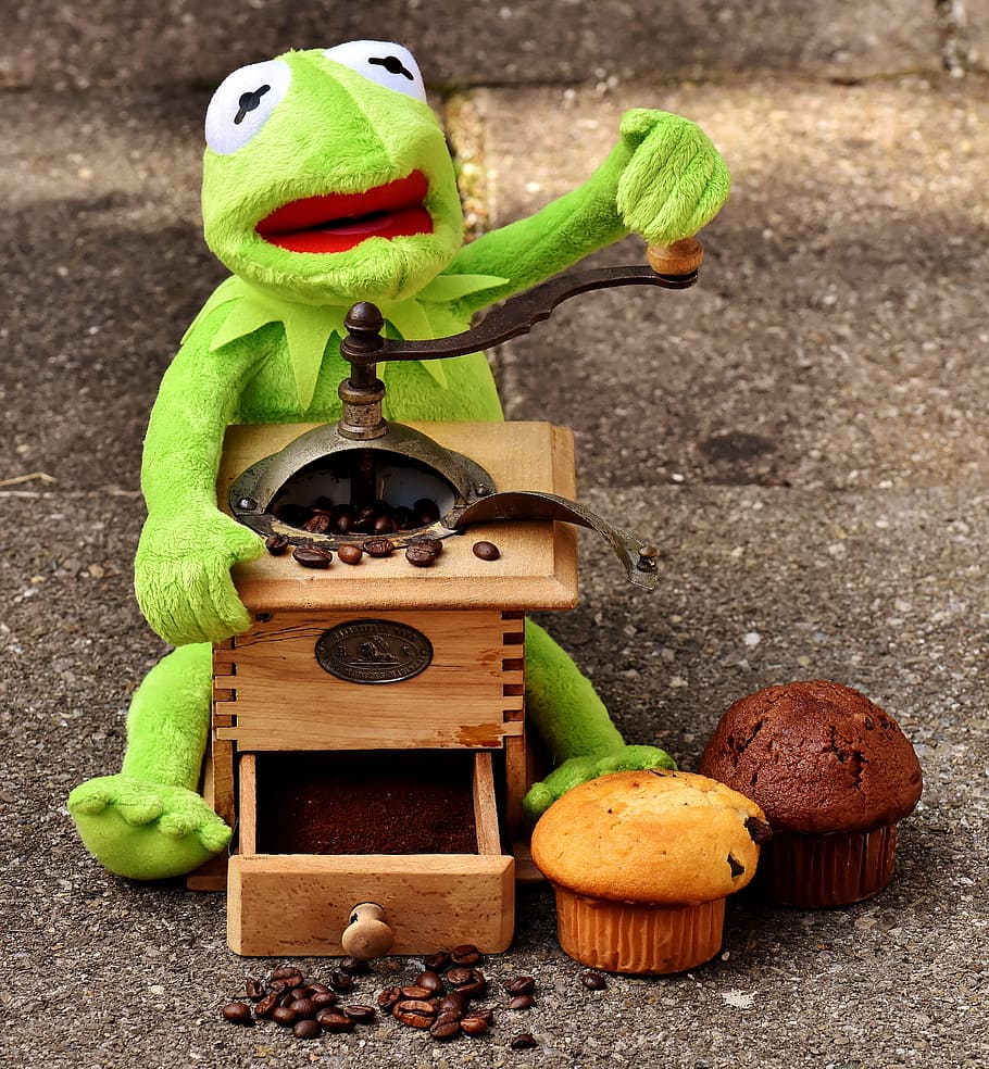 kermit, frog, plush, toy, coffee grinder, grinder, coffee beans, muffins, cake, stuffed animal
