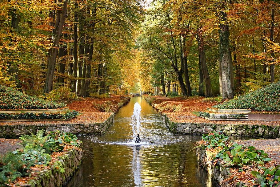 river, surrounded, brown, leaf trees, daytime, castle park, ludwigslust-parchim, water fountain, channel, autumn