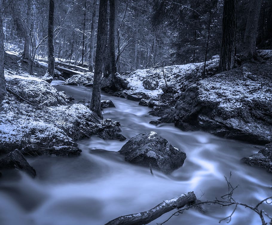 time lapse photography, cascading, river, forest, brook, winter, swedish nature, creek, hdr, sweden