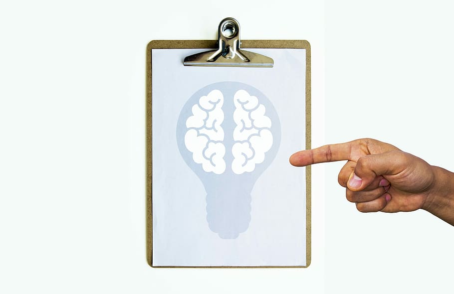 persona, mano, apuntando, blanco, Ilustración del cerebro, idea, análisis, inteligencia artificial, biología, cerebro