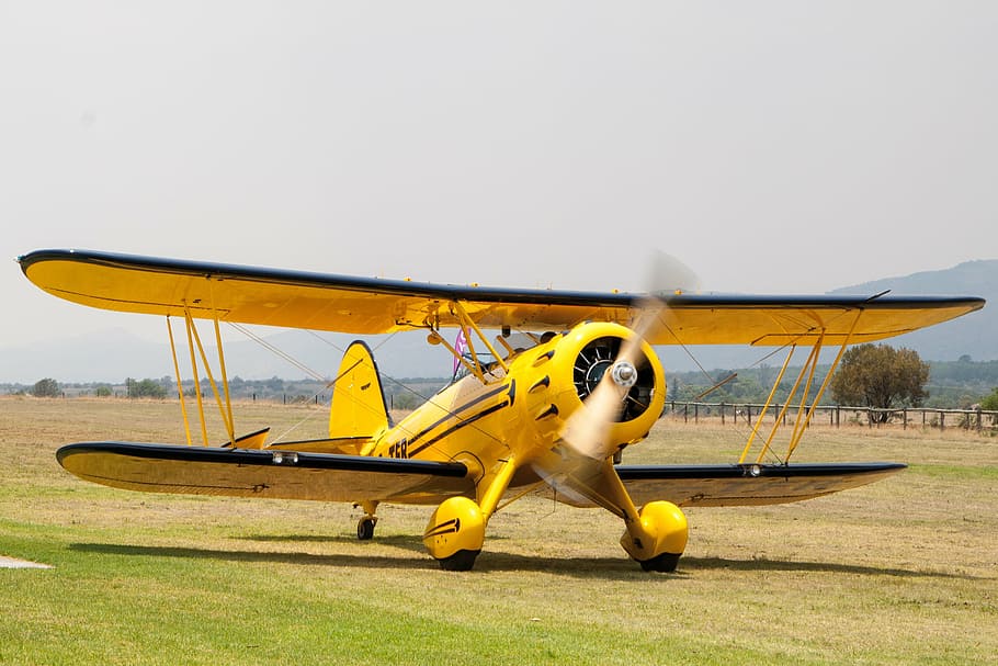 yellow, biplane, green, grass, daytime, aviation, airplane, aeroplane, plane, fly