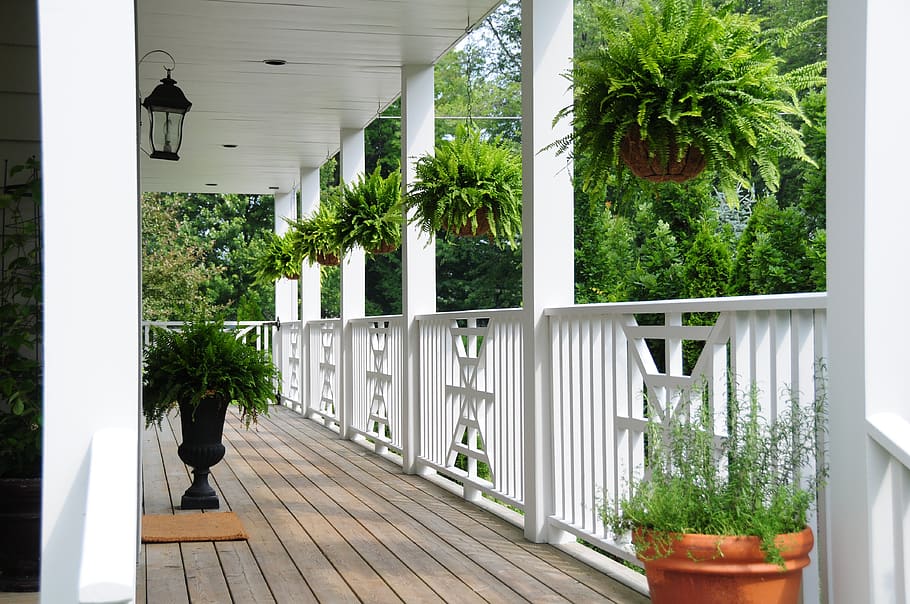 railing, porch, flowers, veranda, balcony, patio, architecture, residential, plants, plant