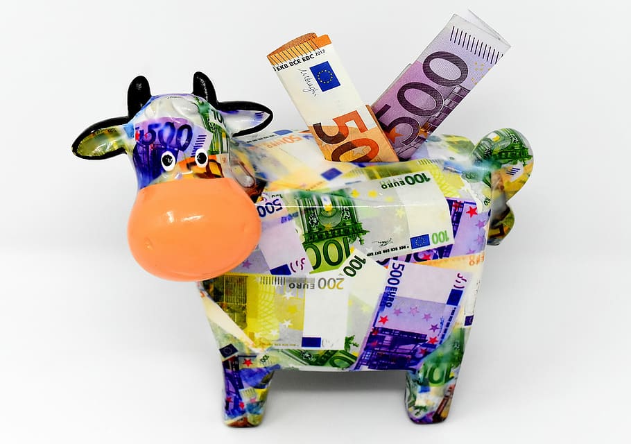 multicolor, cerámica, banco de monedas de vaca, hucha, dinero, vaca, billete de un dólar, 500 euros, 50 euros, guardar