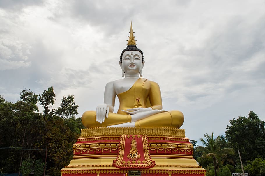 patung buddha gautama, patung buddha, jiwa, agama, asia, patung, agama budha, zen, meditasi, buddha