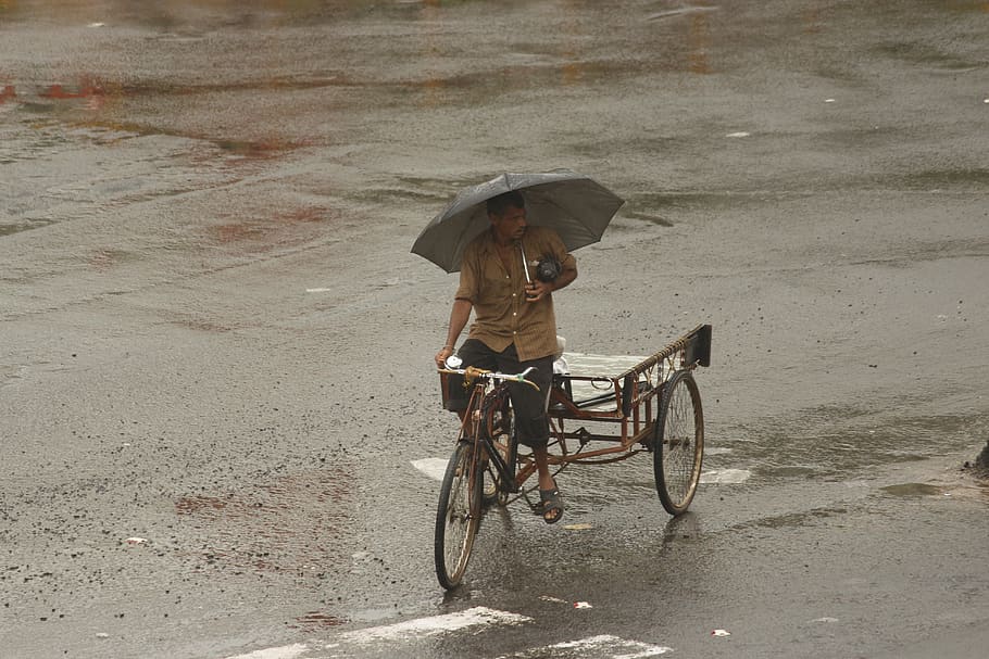 water, rains, umbrella, man, cycle, road, asphalt, man in rain, rainy, real people