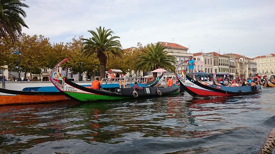 three assorted canoes, portugal, aveiro, europe, travel, outdoor, traditional, water, boats, city