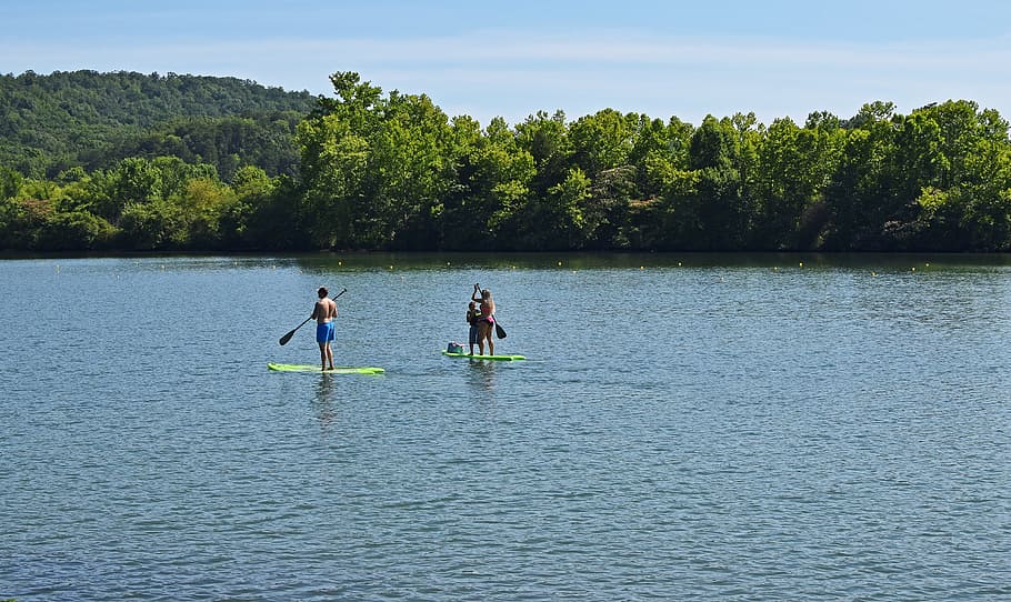 Pendayung Paddle, Keluarga, kesenangan musim panas, olahraga, rekreasi, kegiatan, muara sungai, danau milton, tennessee, pegunungan berasap