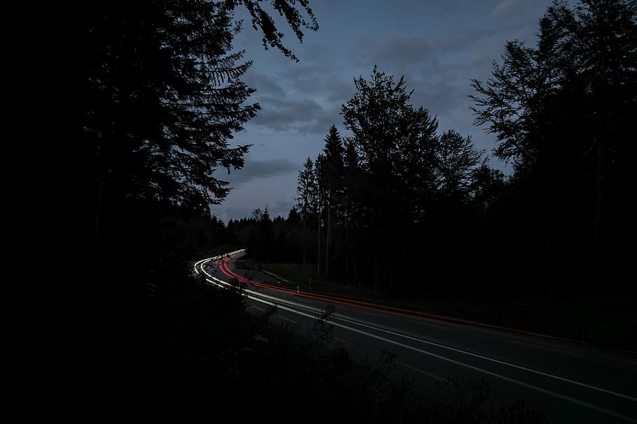 dark, light streaks, road, silhouette, trees, tree, night, curve, transportation, forest