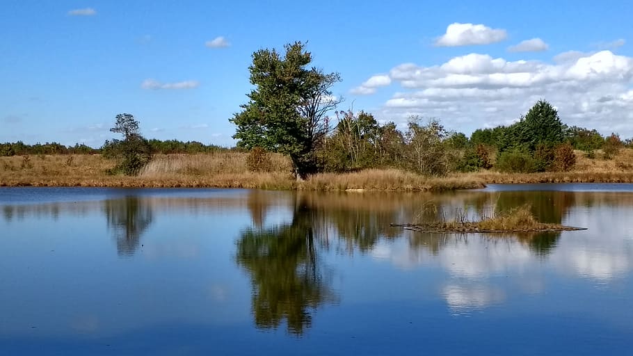 water, pond, lake, trees, tree, reflection, sky, blue, glassy, smooth