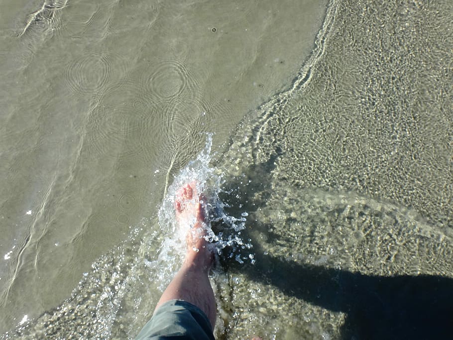Laut, air, water striders, gelombang, pantai, satu orang, satu orang saja, bagian tubuh manusia, dewasa, hanya orang dewasa