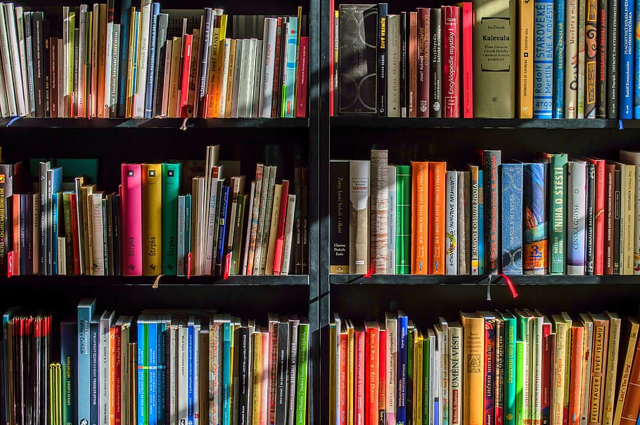 book collection, black, wooden, bookshelf, books, bookstore, book, reading, shop, writer