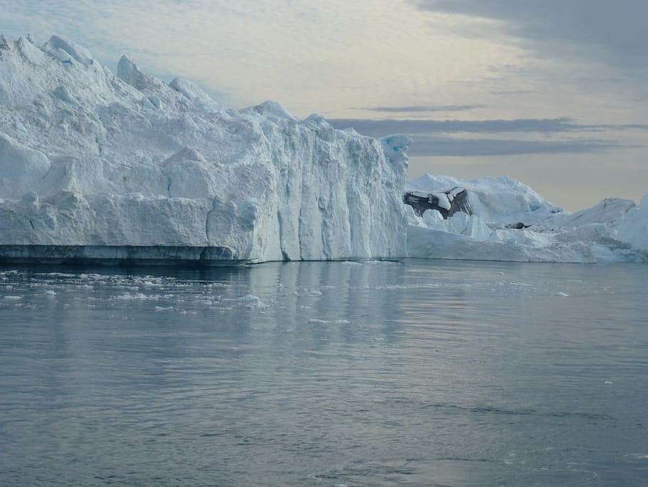 iceberg, ilulissat, greenland, north, cold, water, ice, cold temperature, waterfront, beauty in nature