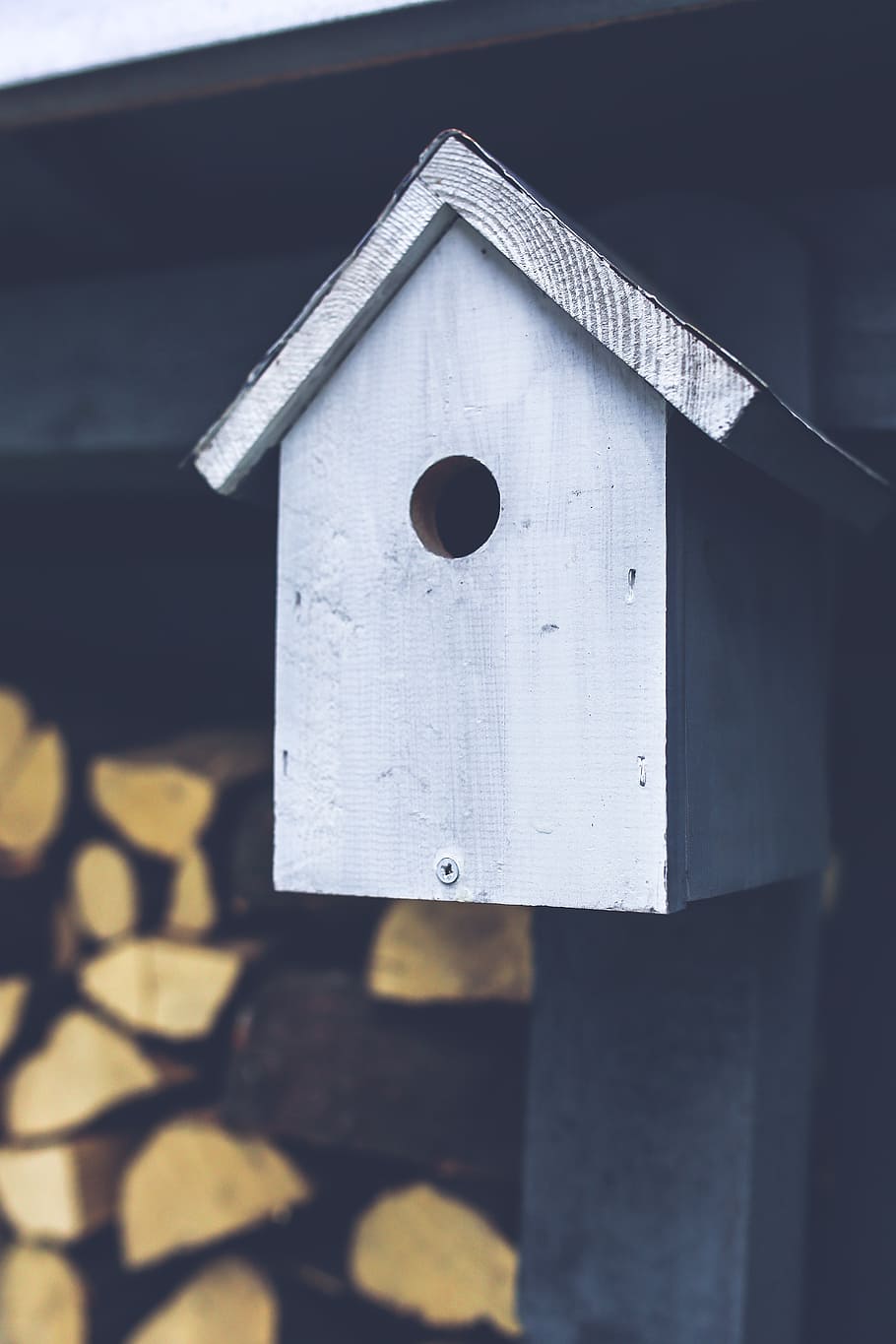 birdhouse, bird, gray, grey, wood, wooden, feeding, help, over winter, winter