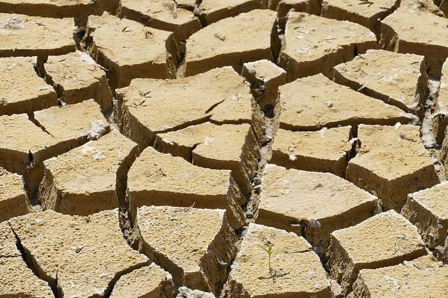 dry, dehydration, drought, rip, crack, earth, ground, structure, texture, desert