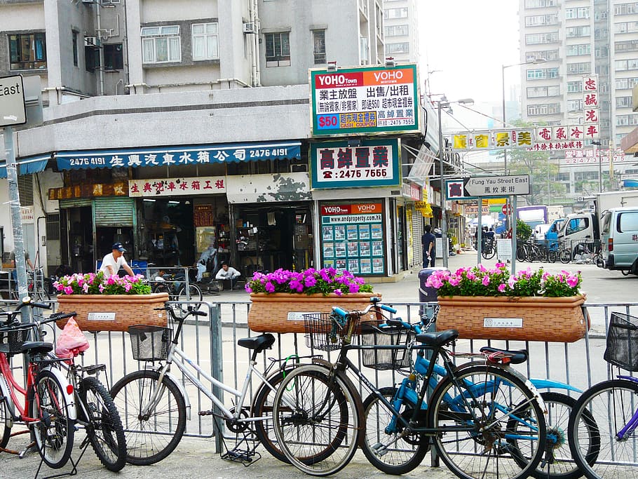 bikes beside fence, bicycles, street, view, flower, old, town, city, yuan lang, hong kong