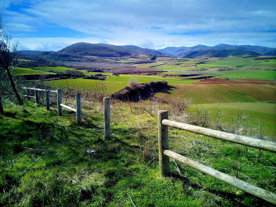 field, fence, fenced, gate, landscape, lookout cárdenas, la rioja, nature, green, agriculture