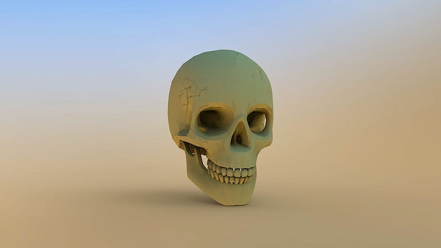 skull and crossbones, skull, background, horror, weird, bone, death, creepy, grey-blessed, studio shot