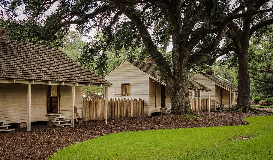 brown, wooden, house, tree, slave cabins, oak alley plantation, louisiana, southern plantation, slave houses, slavery