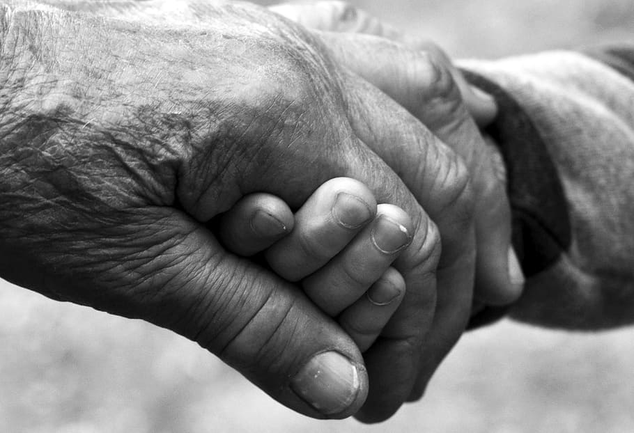 greyscale photo, man, children, holding, hands, old age, youth, the hand, grandmother, child