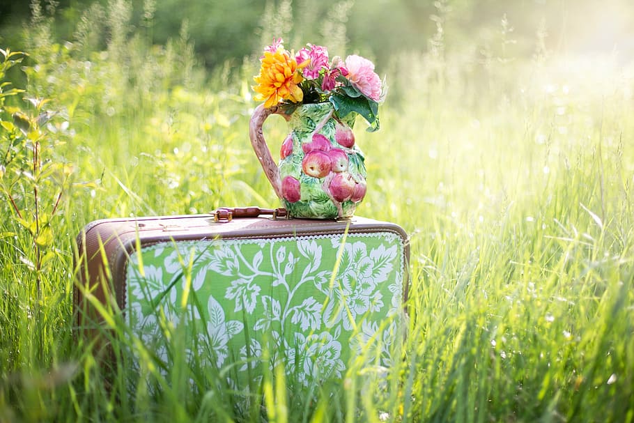 yellow, chrysanthemum flower, pink, roses, green, pitcher, luggage, summer still-life, suitcase in field, grass