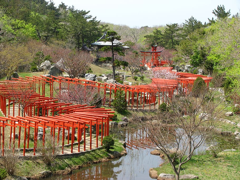 red, wooden, pathway, gazebo, body, water, daytime, torii, shrine, japan