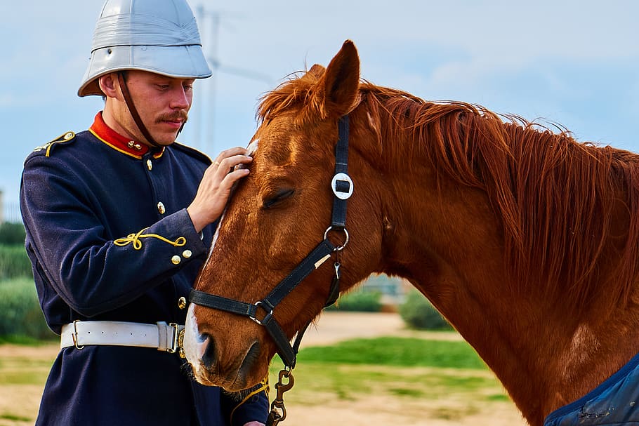 cavalry, military, horse, soldier, united kingdom, malta, fort rinella, livestock, domestic animals, mammal