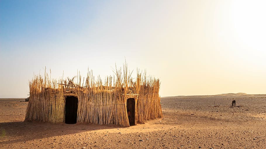casa de heno verde, choza, desierto, áfrica, seco, arena, árido, paja, cielo, horizonte