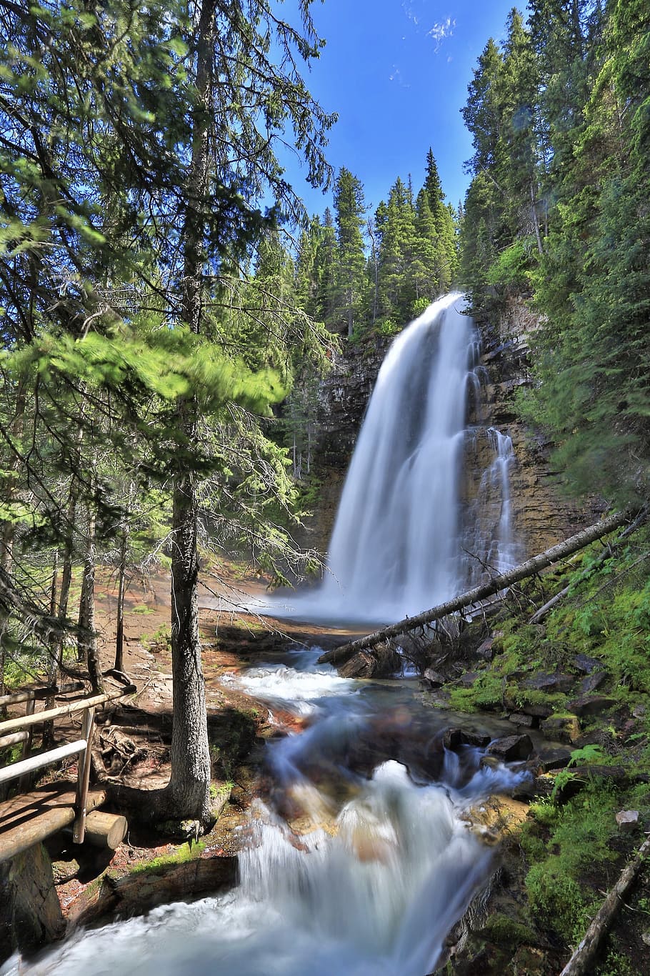 virginia falls, glacier national park, waterfalls, scenery, hiking, trail, forest, wood, flowing, water